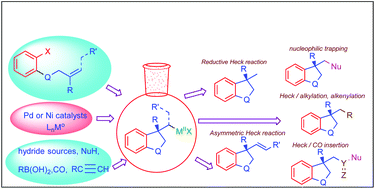 Graphical abstract: Recent developments in asymmetric Heck type cyclization reactions for constructions of complex molecules