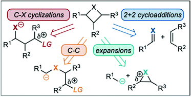 Graphical abstract: Recent strategies used in the synthesis of saturated four-membered heterocycles