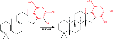 Graphical abstract: Computational studies on the sterol-like cyclization of a monodomain class II terpene cyclase