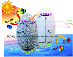 Graphical abstract: Phase-selective active sites on ordered/disordered titanium dioxide enable exceptional photocatalytic ammonia synthesis