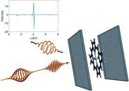 Graphical abstract: Polariton ring currents and circular dichroism of Mg-porphyrin in a chiral cavity