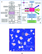 Graphical abstract: In situ visualisation and analysis of dynamic single atom processes in heterogeneous catalysts