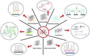 Graphical abstract: Synthetic strategies to enhance the long-term stability of polymer brush coatings