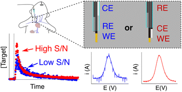 Graphical abstract: A tight squeeze: geometric effects on the performance of three-electrode electrochemical-aptamer based sensors in constrained, in vivo placements