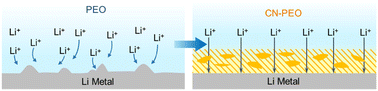 Graphical abstract: Stabilizing the interface of PEO solid electrolyte to lithium metal anode via a g-C3N4 mediator