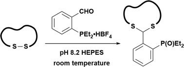 Graphical abstract: A phosphine-based redox method for direct conjugation of disulfides