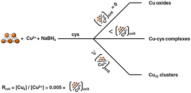 Graphical abstract: Synthesis of photocatalytic cysteine-capped Cu≈10 clusters using Cu5 clusters as catalysts