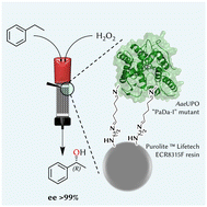 Graphical abstract: Continuous oxyfunctionalizations catalyzed by unspecific peroxygenase