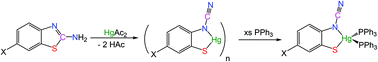 Graphical abstract: Synthesis, structure and reactivity with phosphines of Hg(ii) ortho-cyano-aminothiophenolate complexes formed via C–S bond cleavage and dehydrogenation of 2-aminobenzothiazoles