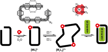 Graphical abstract: Metal-directed self-assembly of constitutionally dynamic systems: control of the nuclearity of Pd(ii)/Pt(ii) metallacycles