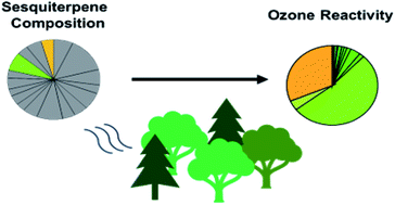 Graphical abstract: Composition, concentration, and oxidant reactivity of sesquiterpenes in the southeastern U.S.