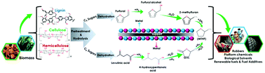 Graphical abstract: Biomass-derived 2-methyltetrahydrofuran platform: a focus on precious and non-precious metal-based catalysts for the biorefinery