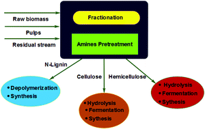 Graphical abstract: Amine-based pretreatments for lignocellulose fractionation and lignin valorization: a review