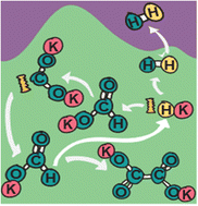 Graphical abstract: Formate as a key intermediate in CO2 utilization