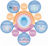 Graphical abstract: Blood–brain barrier (BBB)-on-a-chip: a promising breakthrough in brain disease research