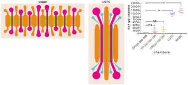 Graphical abstract: Facilitation of axonal transcriptome analysis with quantitative microfluidic devices