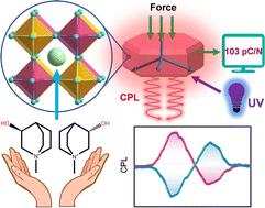 Graphical abstract: Achieving circularly polarized luminescence and large piezoelectric response in hybrid rare-earth double perovskite by a chirality induction strategy