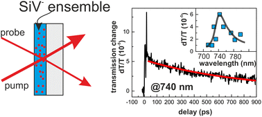 Graphical abstract: Light emission dynamics of silicon vacancy centers in a polycrystalline diamond thin film