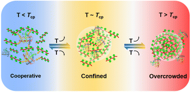 Graphical abstract: Confinement of proteins by thermoresponsive dendronized polymers