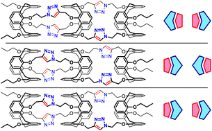 Graphical abstract: Triazolated calix[4]semitubes: assembling strategies towards long multicalixarene architectures