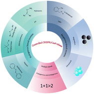 Graphical abstract: Stimuli-responsive delivery strategies for controllable gene editing in tumor therapeutics