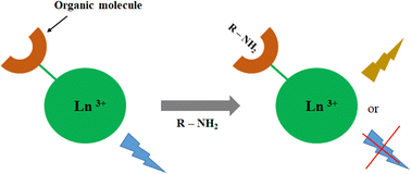 Graphical abstract: Latest advances in sensors for optical detection of relevant amines: insights into lanthanide-based sensors