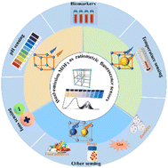 Graphical abstract: Design and application of dual-emission metal–organic framework-based ratiometric fluorescence sensors