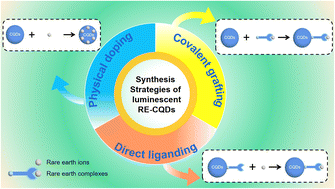 Graphical abstract: Preparation and application of carbon quantum dot fluorescent probes combined with rare earth ions