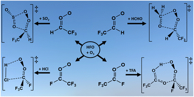 Graphical abstract: Bimolecular sinks of Criegee intermediates derived from hydrofluoroolefins – a computational analysis