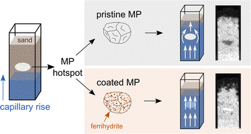 Graphical abstract: Ferrihydrite coating reduces microplastic induced soil water repellency