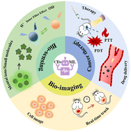 Graphical abstract: Utilizing machine learning to expedite the fabrication and biological application of carbon dots