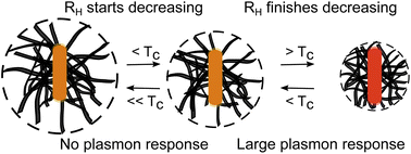 Graphical abstract: Correlating structural changes in thermoresponsive hydrogels to the optical response of embedded plasmonic nanoparticles