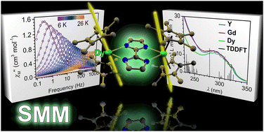 Graphical abstract: From unprecedented 2,2′-bisimidazole-bridged rare earth organometallics to magnetic hysteresis in the dysprosium congener