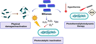 Graphical abstract: MXene-based composites against antibiotic-resistant bacteria: current trends and future perspectives