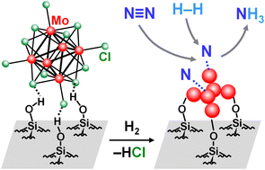 Graphical abstract: Catalytic ammonia synthesis on HY-zeolite-supported angstrom-size molybdenum cluster