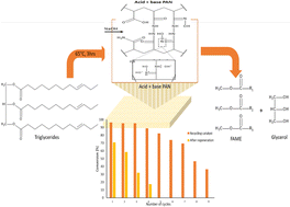 Graphical abstract: Transesterification reaction of tristearin (TS) & glycerol mono stearate (GMS) over surface basified PAN fibrous solid catalyst