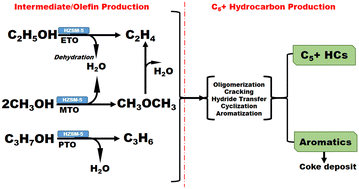 Graphical abstract: Performance evaluation of a newly developed transition metal-doped HZSM-5 zeolite catalyst for single-step conversion of C1–C3 alcohols to fuel-range hydrocarbons