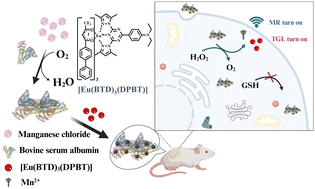 Graphical abstract: A bimodal time-gated luminescence–magnetic resonance imaging nanoprobe based on a europium(iii) complex anchored on BSA-coated MnO2 nanosheets for highly selective detection of H2O2