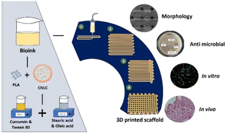 Graphical abstract: 3D bioprinted poly(lactic acid) scaffolds infused with curcumin-loaded nanostructured lipid carriers: a promising approach for skin regeneration