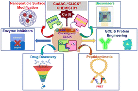 Graphical abstract: Facets of click-mediated triazoles in decorating amino acids and peptides