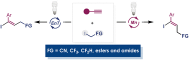 Graphical abstract: Stereodivergent atom transfer radical addition of α-functionalized alkyl iodides to alkynes: a strategy for selective synthesis of both E- and Z-iodoalkenes