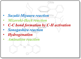 Graphical abstract: An overview: dinuclear palladium complexes for organic synthesis