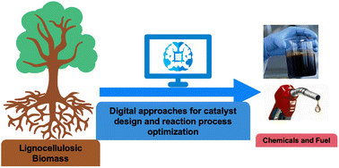 Graphical abstract: Digitalisation of catalytic processes for sustainable production of biobased chemicals and exploration of wider chemical space