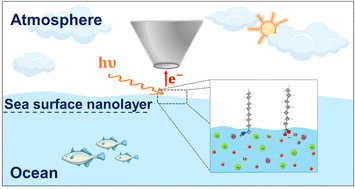 Graphical abstract: Interaction of ions and surfactants at the seawater–air interface