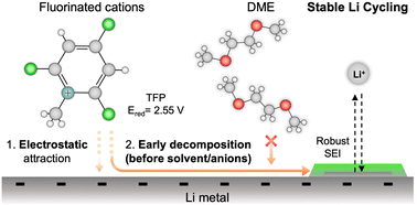 Graphical abstract: Robust battery interphases from dilute fluorinated cations