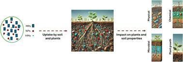 Graphical abstract: Tiny pollutants, big consequences: investigating the influence of nano- and microplastics on soil properties and plant health with mitigation strategies