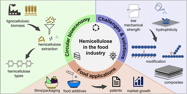Graphical abstract: Hemicelluloses from bioresidues and their applications in the food industry – towards an advanced bioeconomy and a sustainable global value chain of chemicals and materials