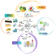 Graphical abstract: Renewable aromatic production from waste: exploring pathways, source materials, and catalysts