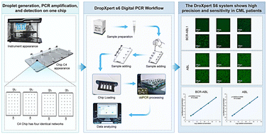 Graphical abstract: Analytical validation of the DropXpert S6 system for diagnosis of chronic myelocytic leukemia