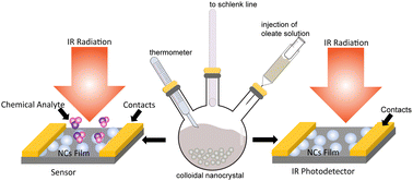 Graphical abstract: Degenerately doped metal oxide nanocrystals for infrared light harvesting: insight into their plasmonic properties and future perspectives